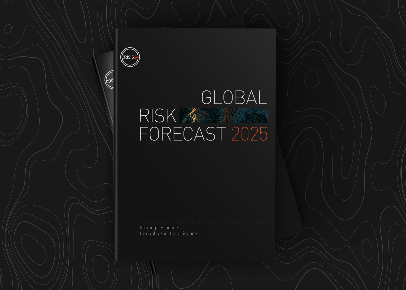 Global Risk Forecast 2025 Report Splay