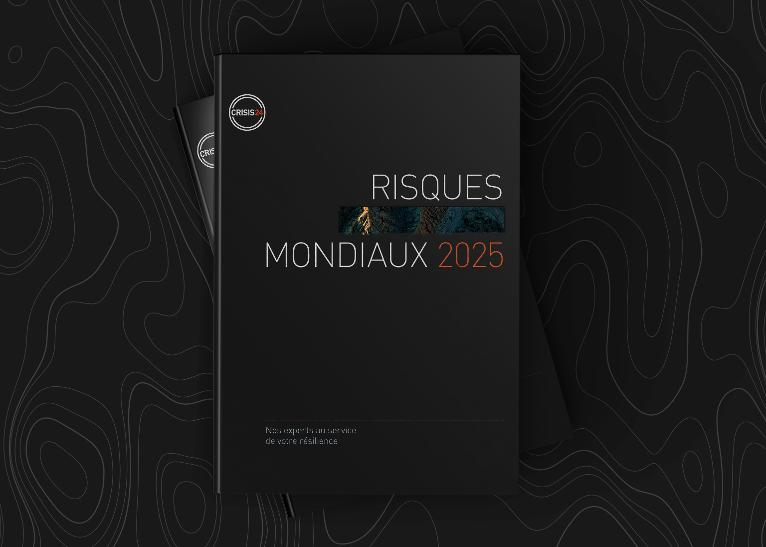 Risques Mondiaux 2025 Report Splay