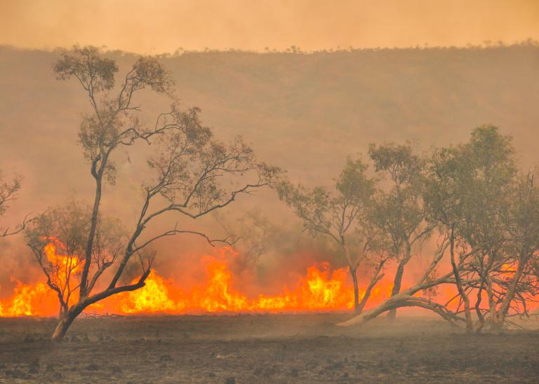 2021-2022 Australian Bushfire Summer Forecast