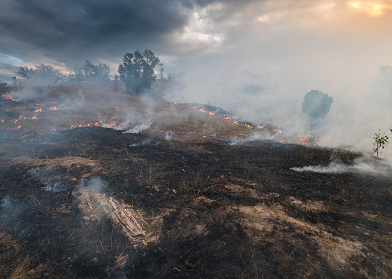 Bushfire, Burned black land on hill in Australia