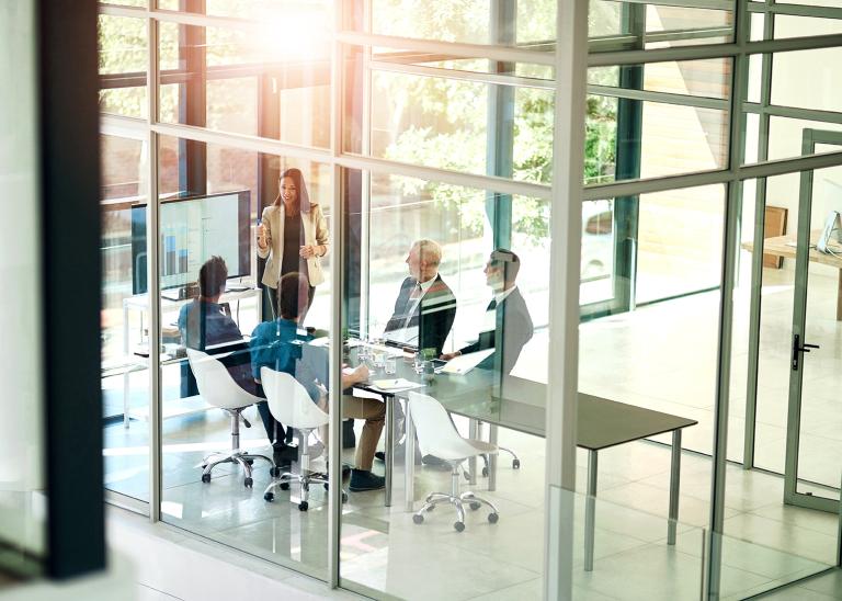 Employees in a conference setting with team led by a woman.