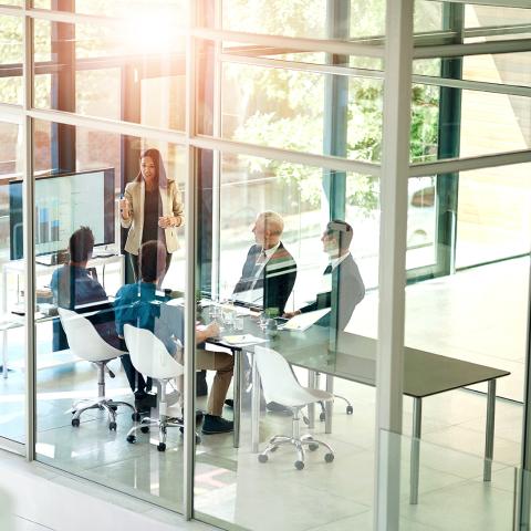 Employees in a conference setting with team led by a woman.